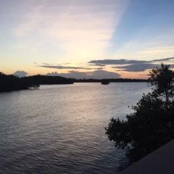 Bankruptcy Law Firm of Orfelia M. Mayor, - Abogado de Bancarrota en Fort Lauderdale; ico