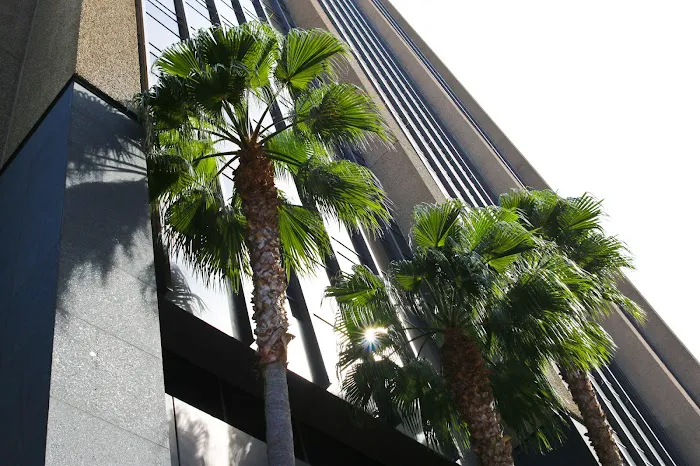 Law Offices of Scott C. Williams 5