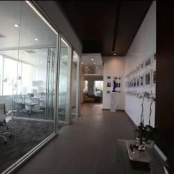 The Law Offices of Seth B. Bobroff ico