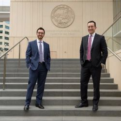 Stefano L. Molea, Esq. ico