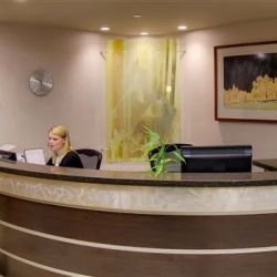 Hansen Law Firm ico