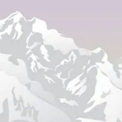 Pollart Miller LLC ico