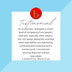 THE BRAMMER FIRM ico