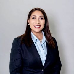 The Velez Law Firm, P.A. ico