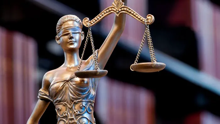 The Vier Law Firm 2
