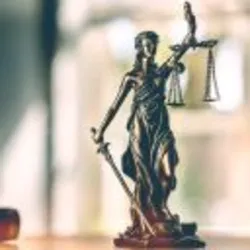 The Vier Law Firm 0