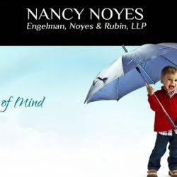 Law Office of Nancy A. Noyes, LLC ico