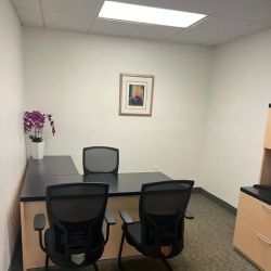 The Louis Law Firm ico