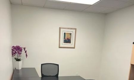 The Louis Law Firm