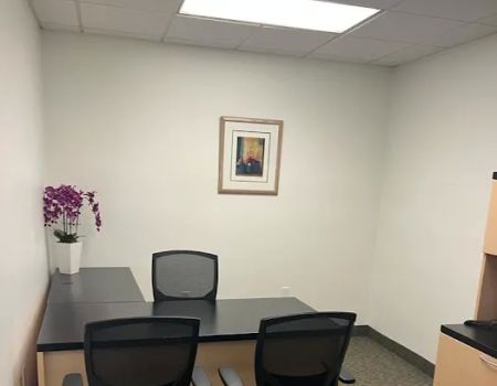 The Louis Law Firm