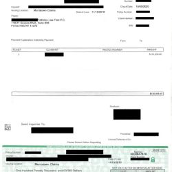 Poltielov Law Firm P.C. ico