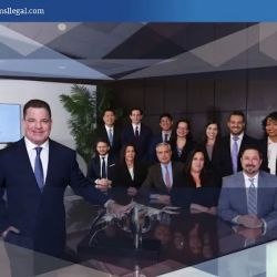 The Law Offices of Michael S. Lamonsoff, PLLC ico