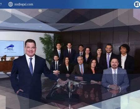 The Law Offices of Michael S. Lamonsoff, PLLC