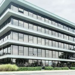 The Law Office of Anne Sedki ico