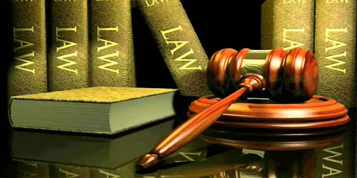 Morgan Legal Group I Estate Planning & Probate Attorney New York City 2