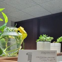 Charles M. Green, APLC ico