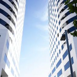 Zhamakochyan Family Law ico