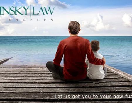 Lavinsky Law