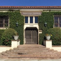 Straussner & Sherman ico