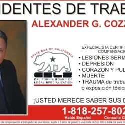 Law Offices of Alexander G. Cozzaglio ico