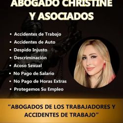 Law Offices of Christine Avakian. Abogada Christine Y Asociados. ico