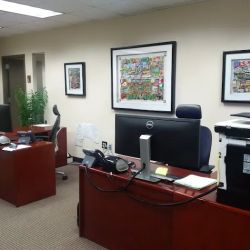 The Law Offices of Scott N. Bergman, LLC ico