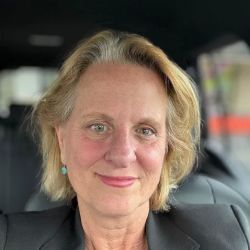 Virginia Sex Crimes Attorney Law Firm ico