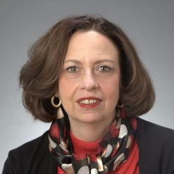 Foley & Lardner LLP: Melinda F. Levitt ico