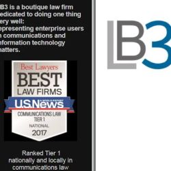 Levine, Blaszak, Block & Boothby, LLP ico