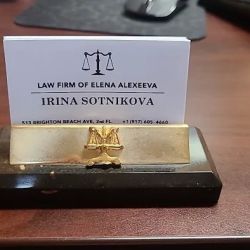 Law Firm of Elena Alexeeva ico