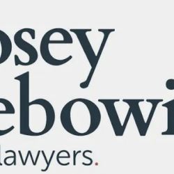 Jacob M. Lebowitz, Esq. - Posey Lebowitz PLLC ico