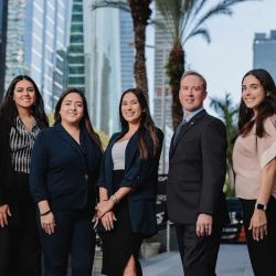 Davis & Associates Attorneys at Law ico