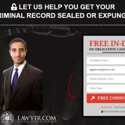 Anise Criminal Defense - Seal and Expunge Criminal Records Fort Lauderdale ico