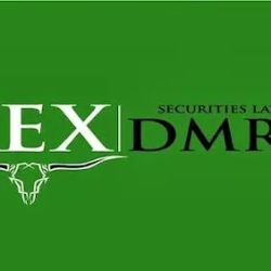 Rex Securities Law ico