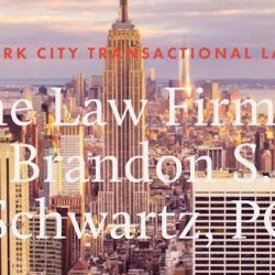 The Law Firm of Brandon S. Schwartz, P.C. ico