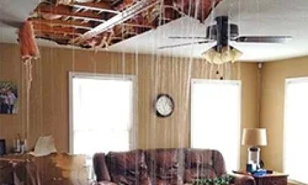 Public Adjuster Near Me