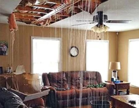Public Adjuster Near Me