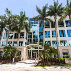 The Law Office of Dana Pechersky ico