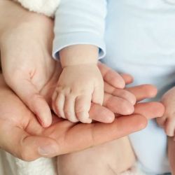 Moshtael Family Law - Family Law Attorneys in San Diego ico