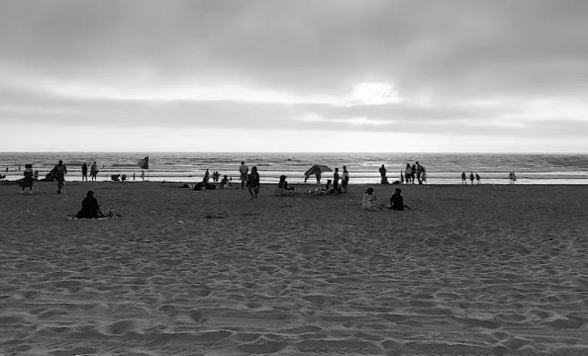 Lawyer of San Diego