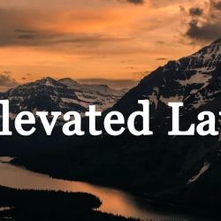 Elevated Law ico