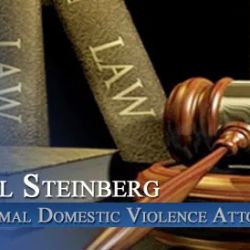 Law Office Of H. Michael Steinberg ico