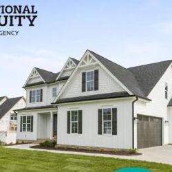 National Equity Agency ico