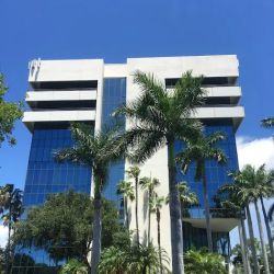 Attorney Chris Keith ico