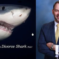 Divorce Shark - Zelotes Divorce Litigation ico