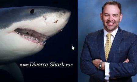 Divorce Shark - Zelotes Divorce Litigation