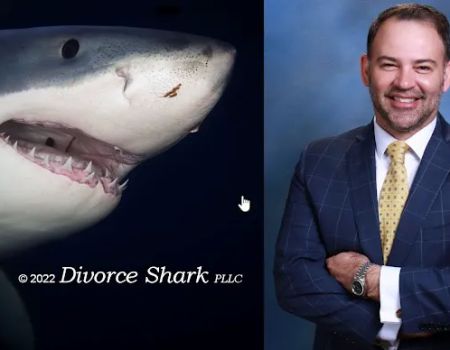 Divorce Shark - Zelotes Divorce Litigation