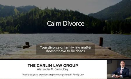 The Carlin Law Group, LLC