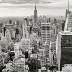 Josh Bernstein, P.C. ico