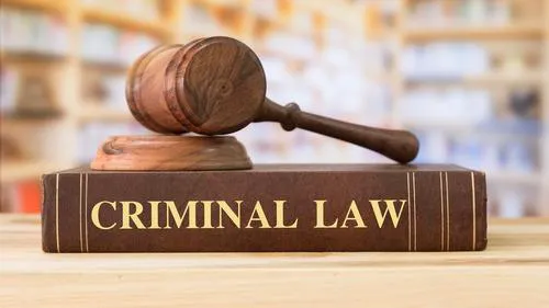 William Proetta Criminal Law 1
